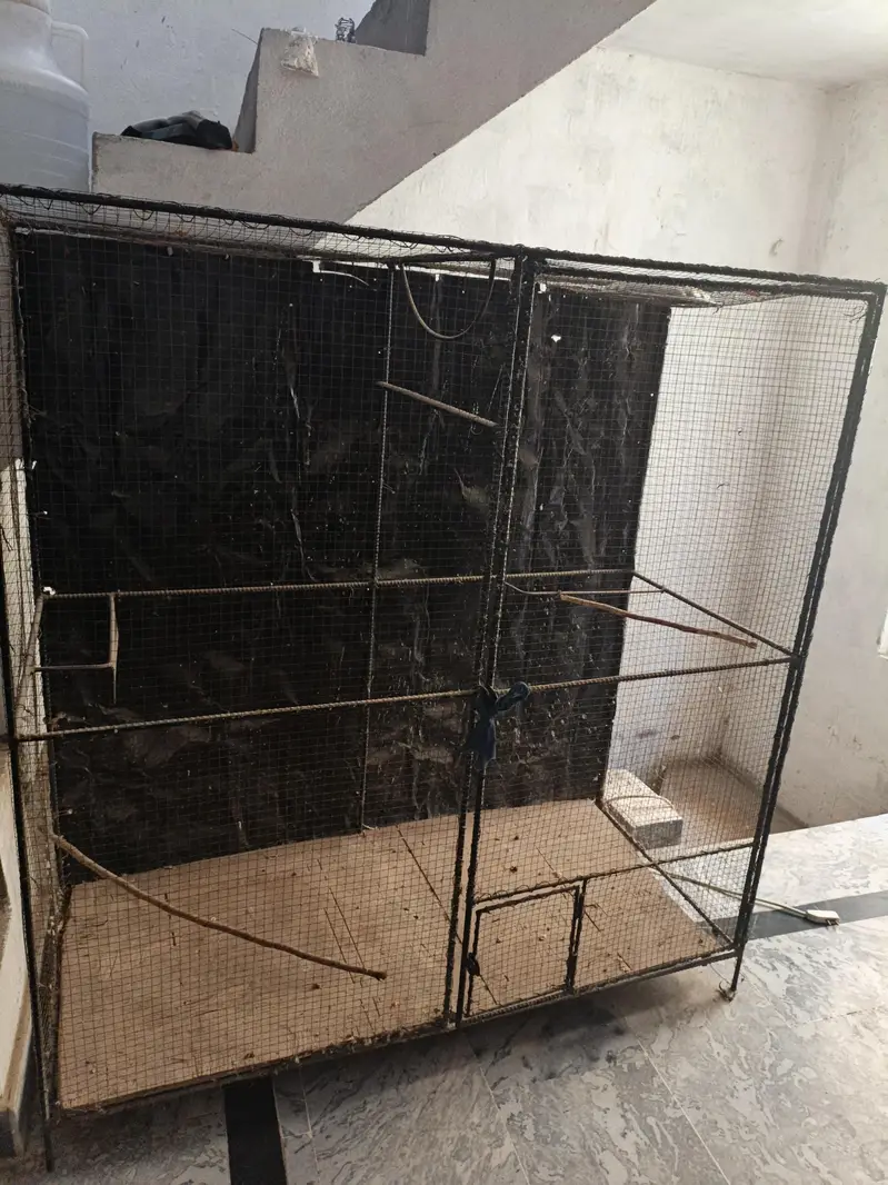 parrot cages — photo 2