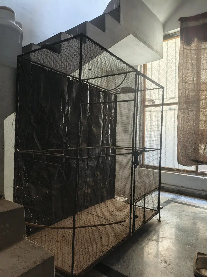 parrot cages — photo 3