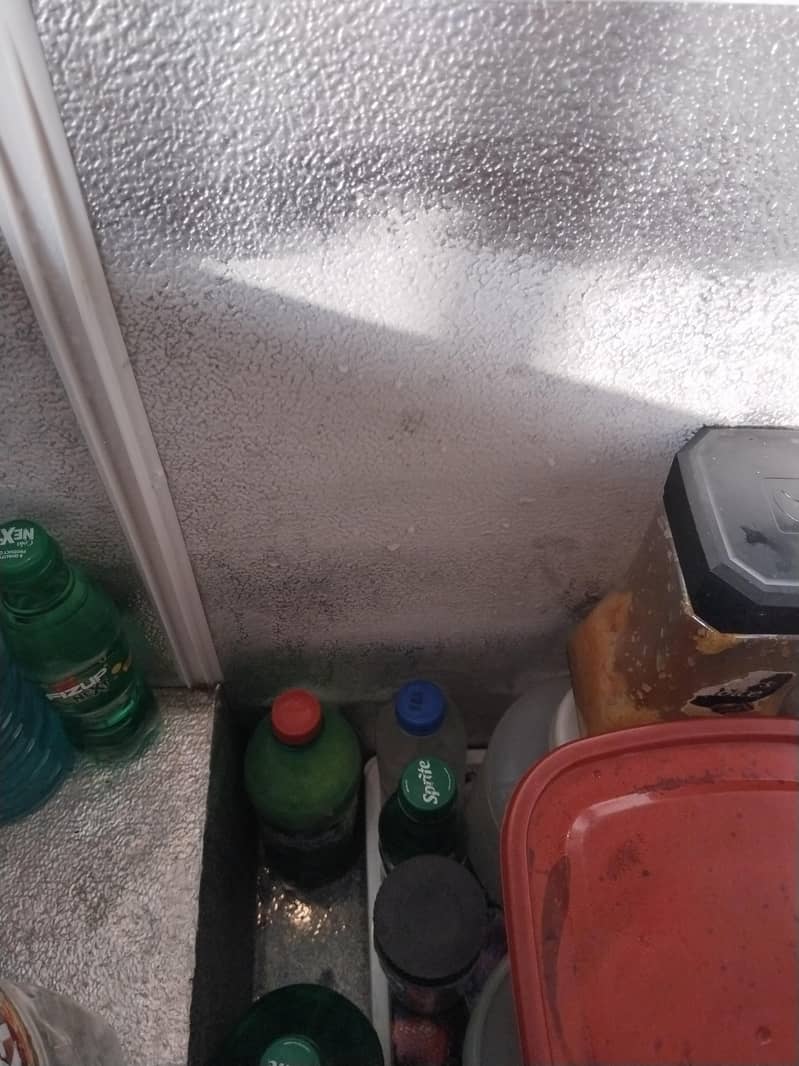 Waves freezer 3