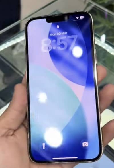 Apple iPhone 13 Pro Max