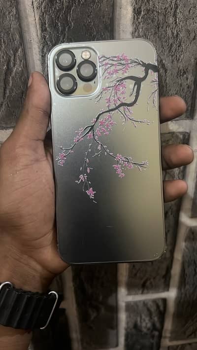 Apple iPhone 12 Pro