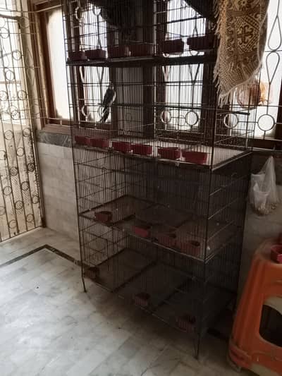 birds cage