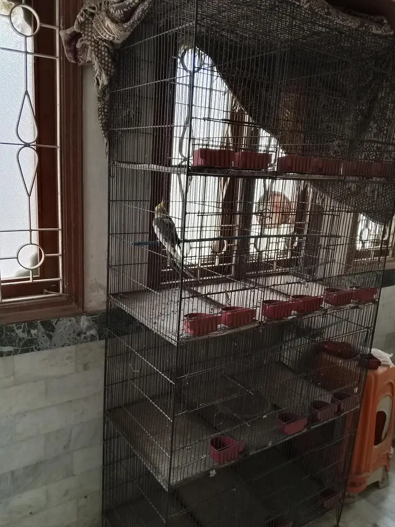 birds cage — photo 3