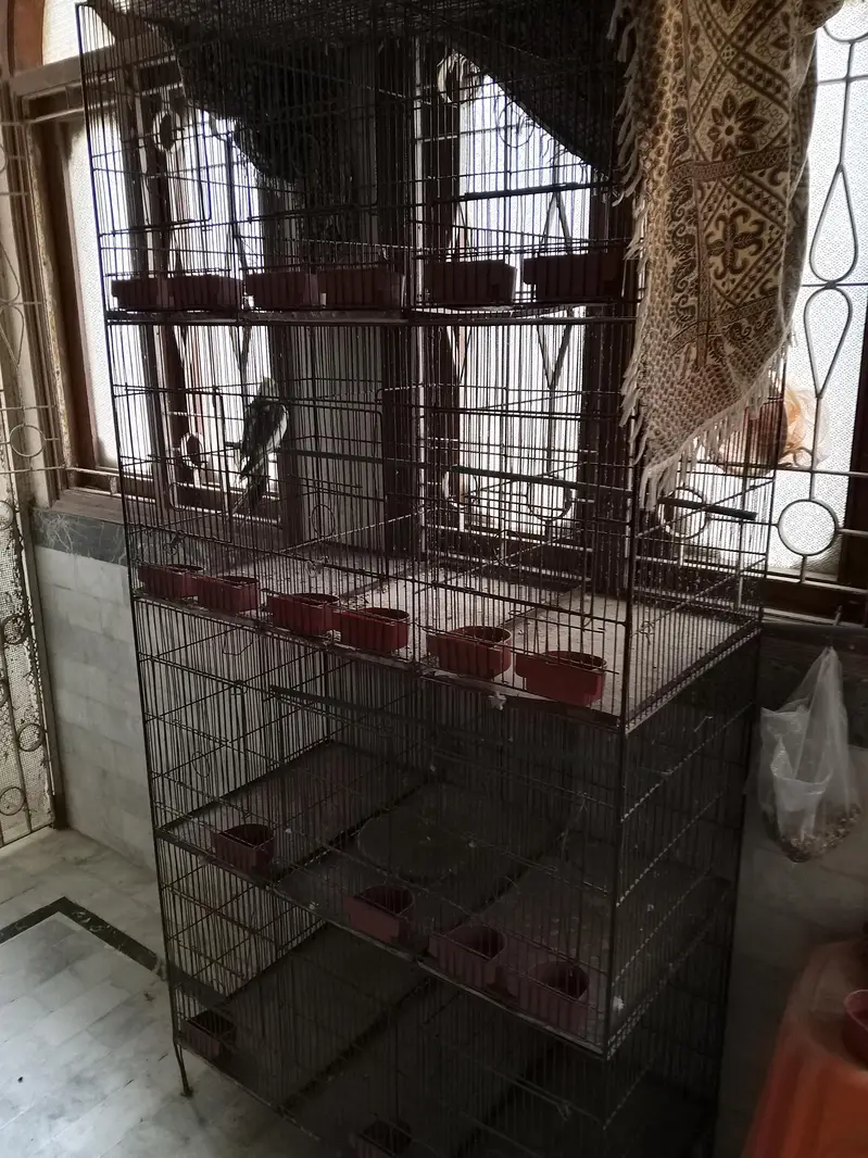 birds cage — photo 4