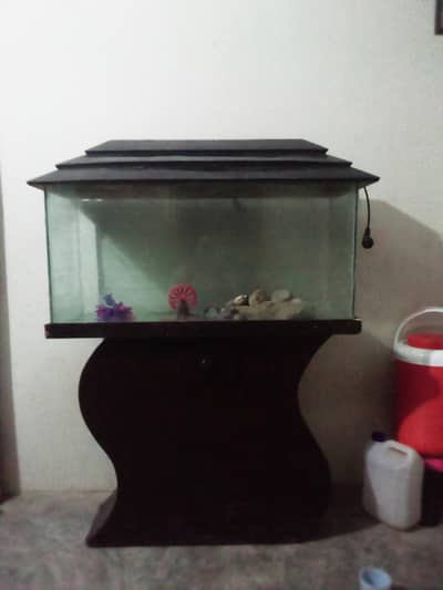 fish aquarium 3ft