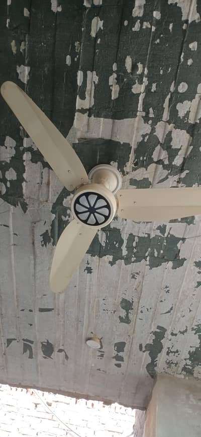 pankha copper winding