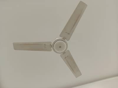 fan for sale