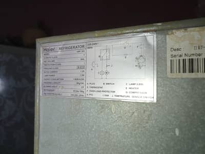 haier medium size fridge