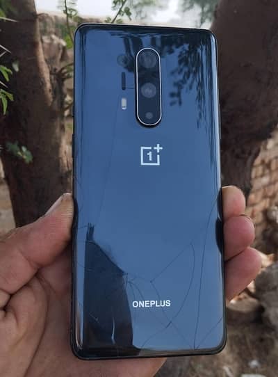 one plus 8 pro 12/256 pta approved