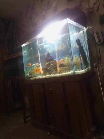 aquarium