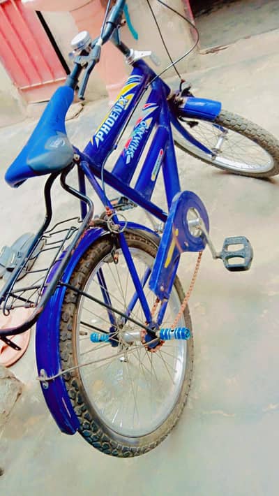 phonix bicycle