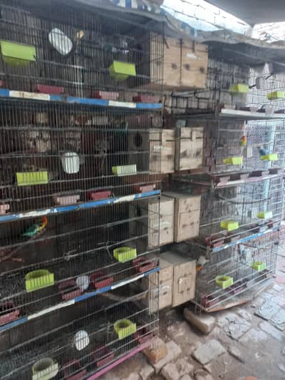 folding cage with all accessories
