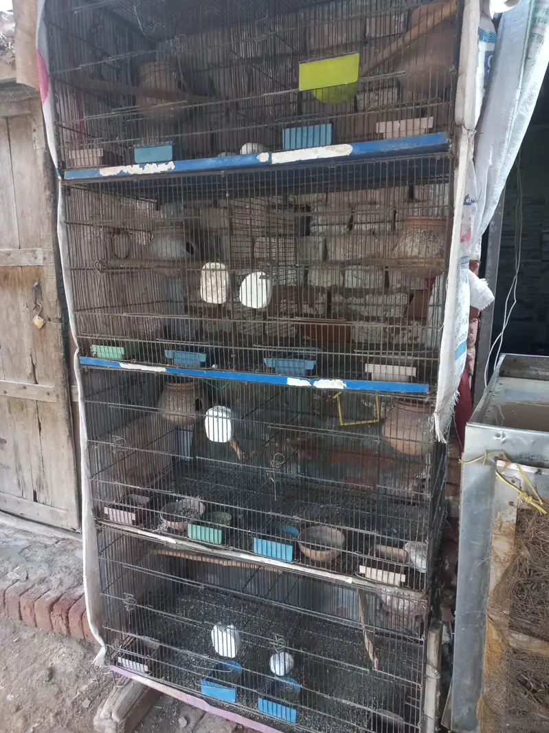 folding cage with all accessories — photo 2