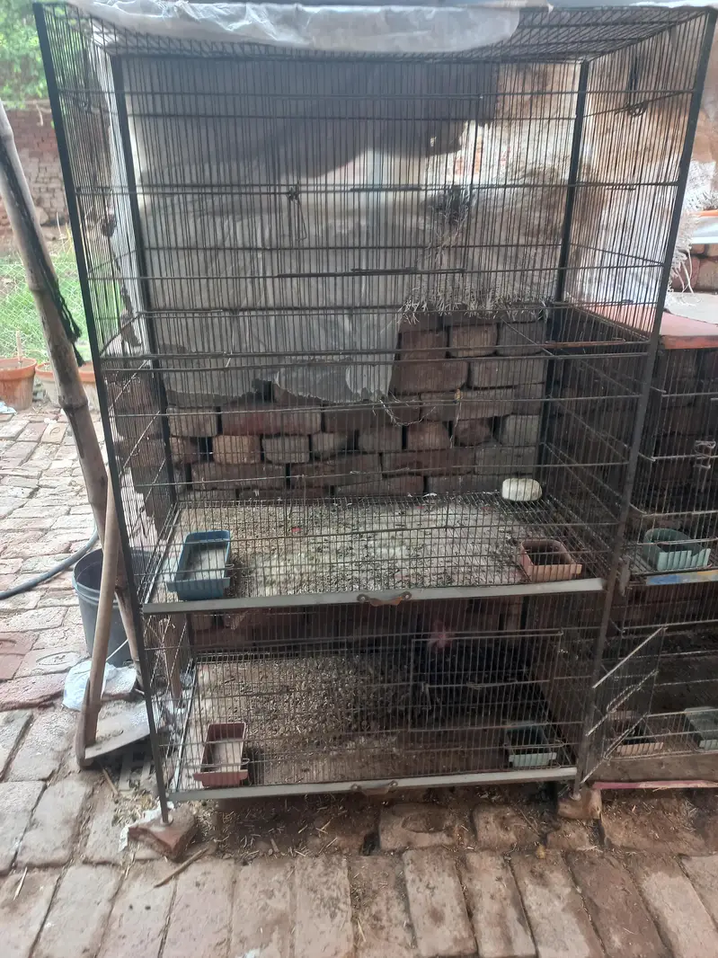 folding cage with all accessories — photo 4