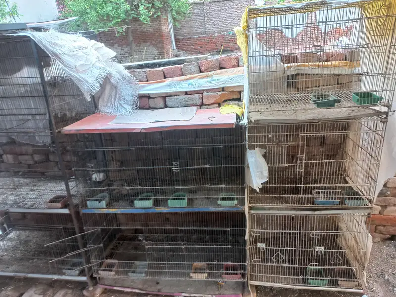 folding cage with all accessories — photo 5