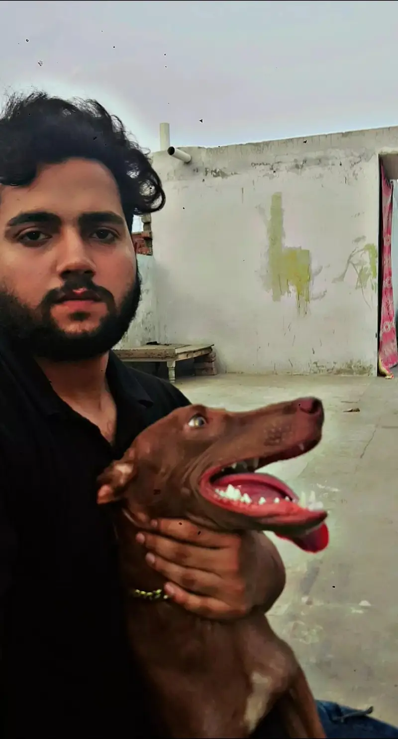 This is a very good dog. — photo 4