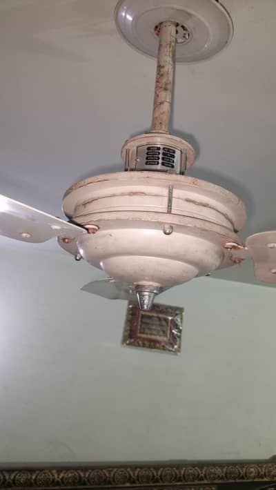 fan copper wedding