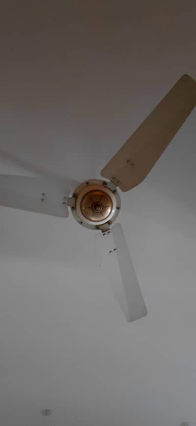 Royal Ceiling Fans for sale