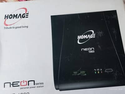 Homage UPS 1000VA/700 WATT/12VDC/220 VAC