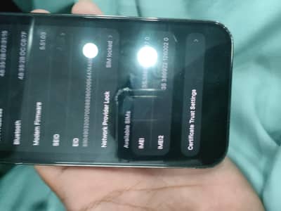 Apple iPhone 13 Pro Max only call