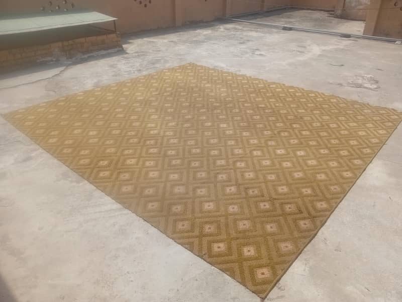 carpet 1