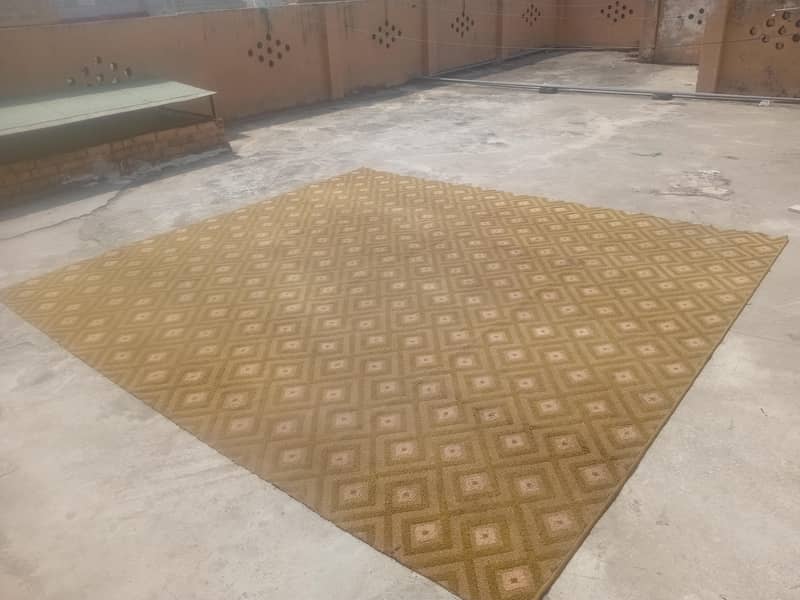 carpet 2