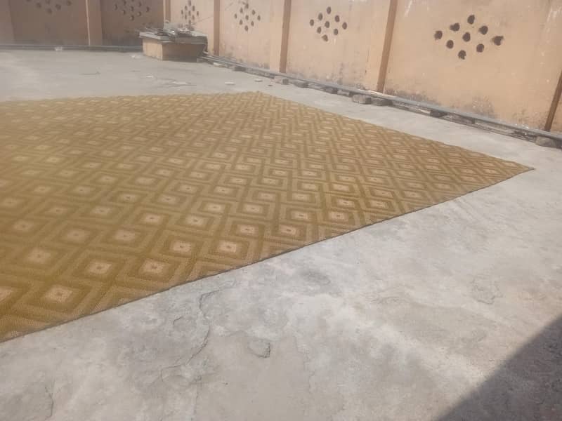 carpet 4