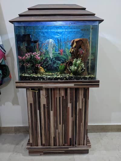 Aquarium 2x1 feet