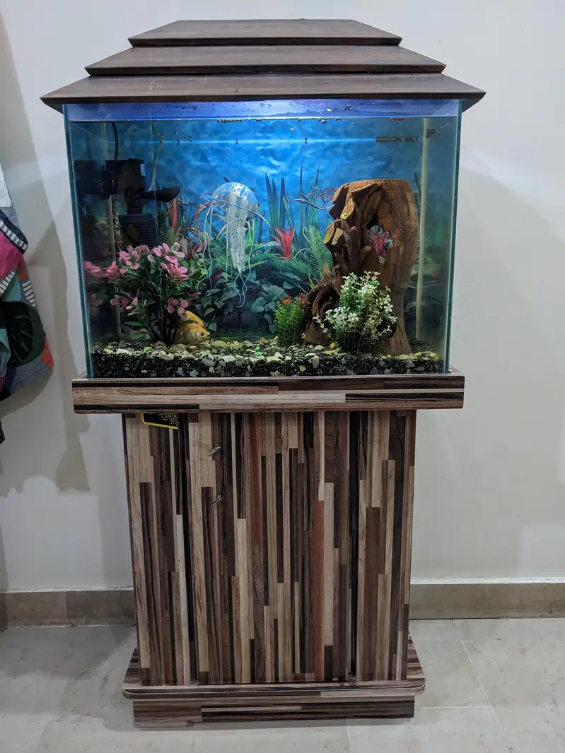 Aquarium 2x1 feet