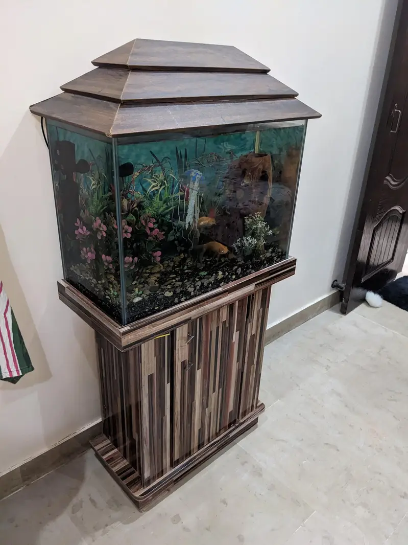 Aquarium 2x1 feet — photo 2