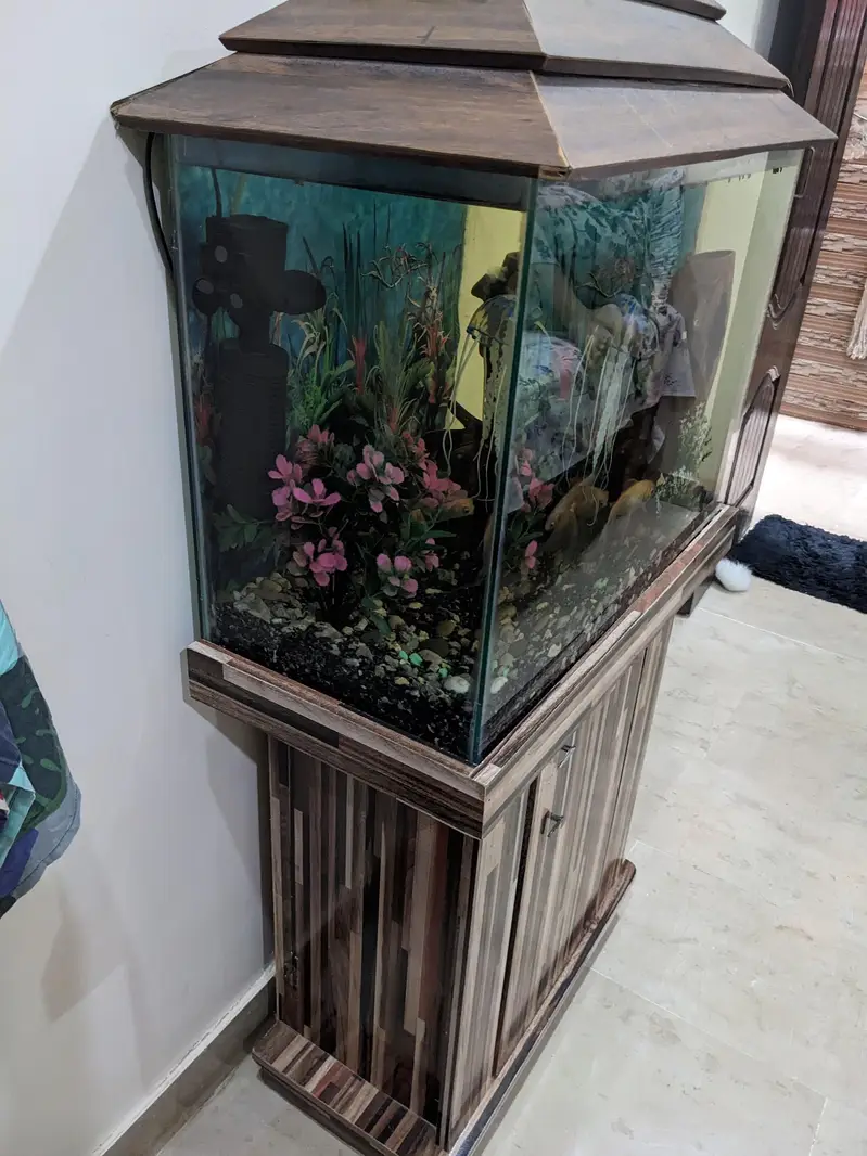 Aquarium 2x1 feet — photo 3