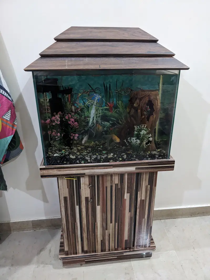 Aquarium 2x1 feet — photo 4