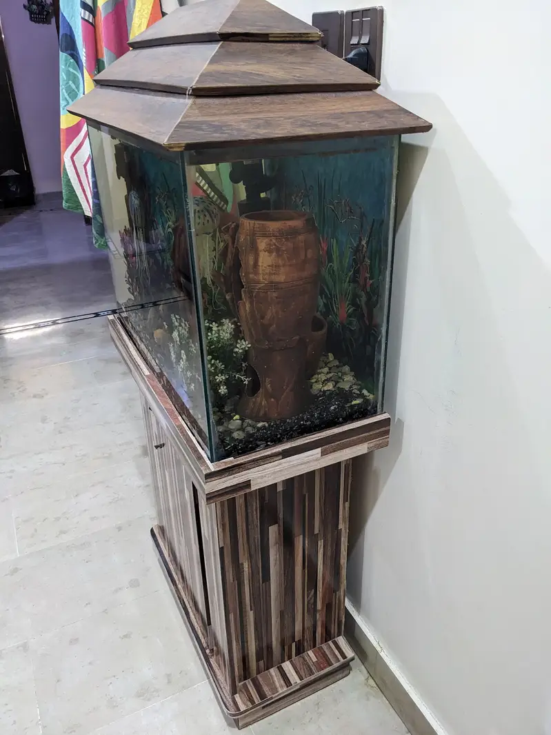Aquarium 2x1 feet — photo 5