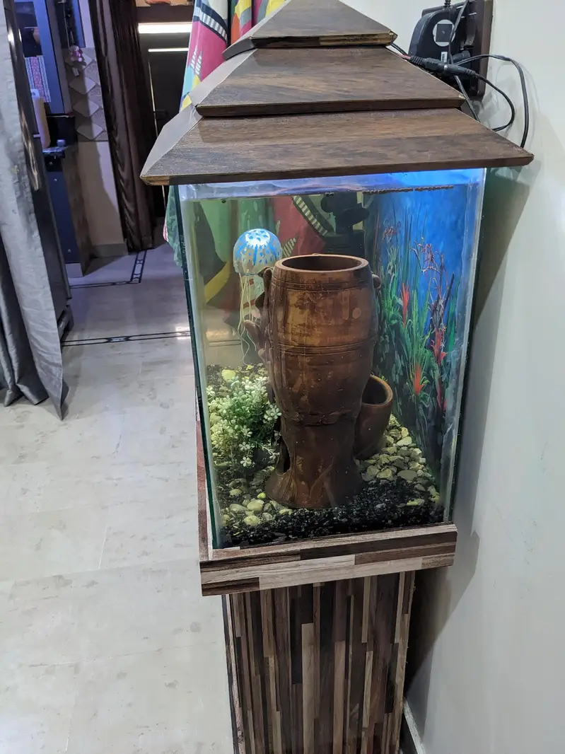 Aquarium 2x1 feet — photo 6