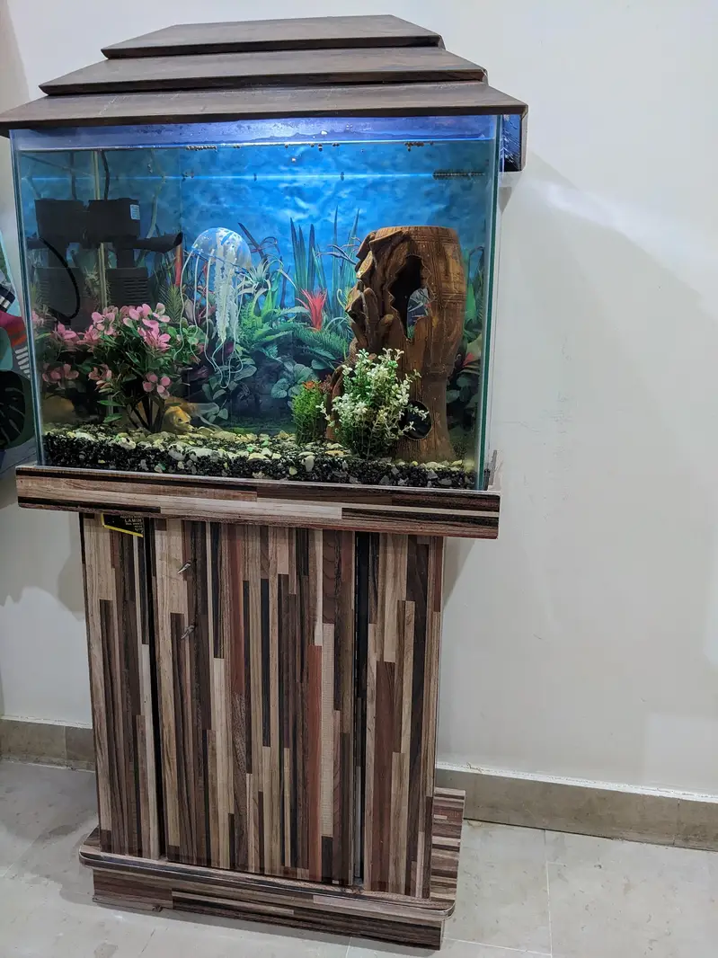 Aquarium 2x1 feet — photo 7