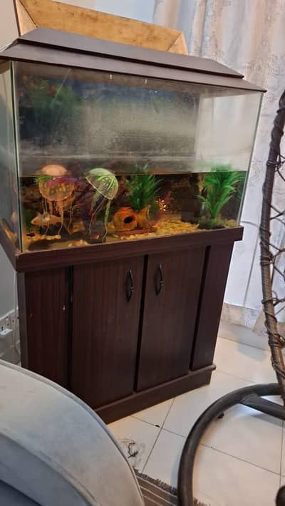 Fish Equarium