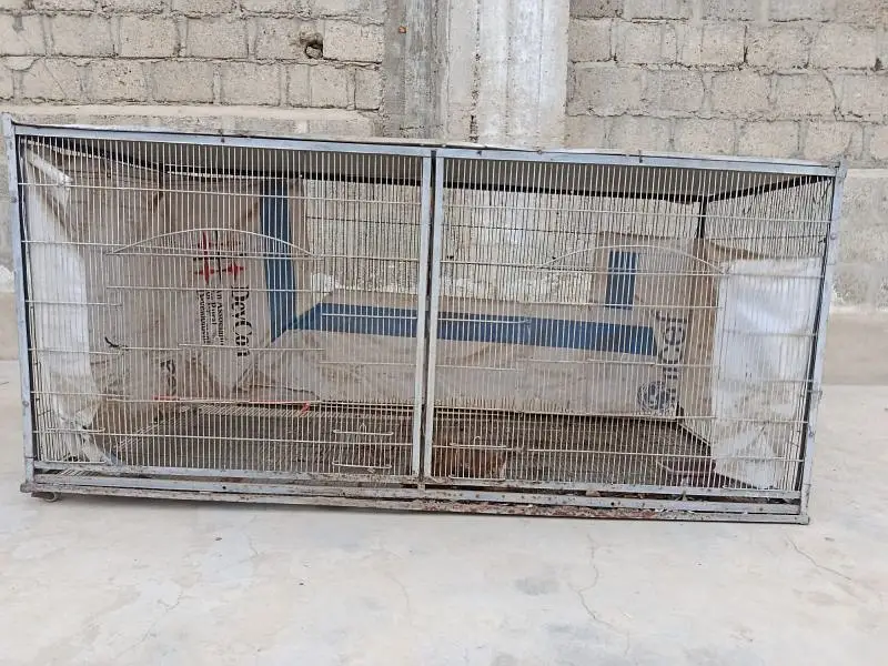 Big Cage 2 portions
