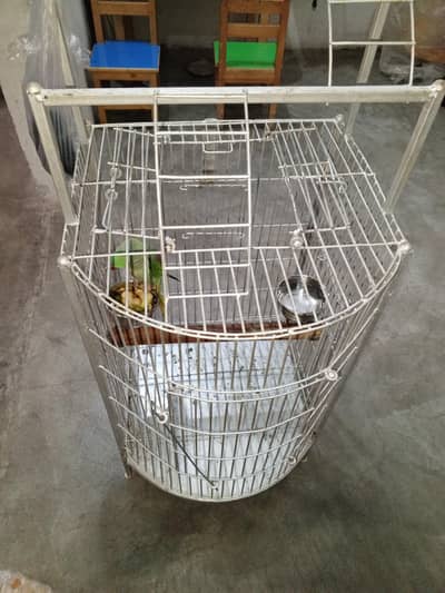 new cage han 13 days used only