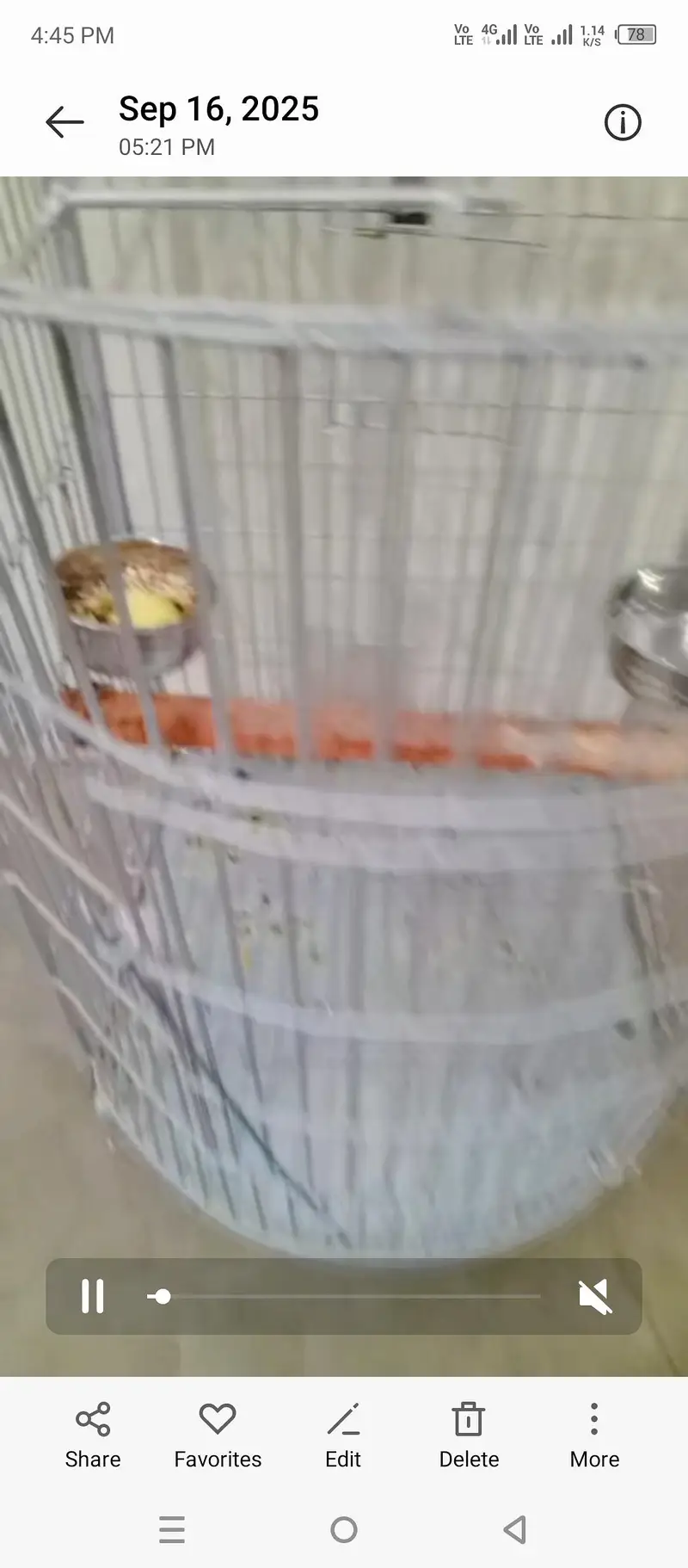 new cage han 13 days used only — photo 2