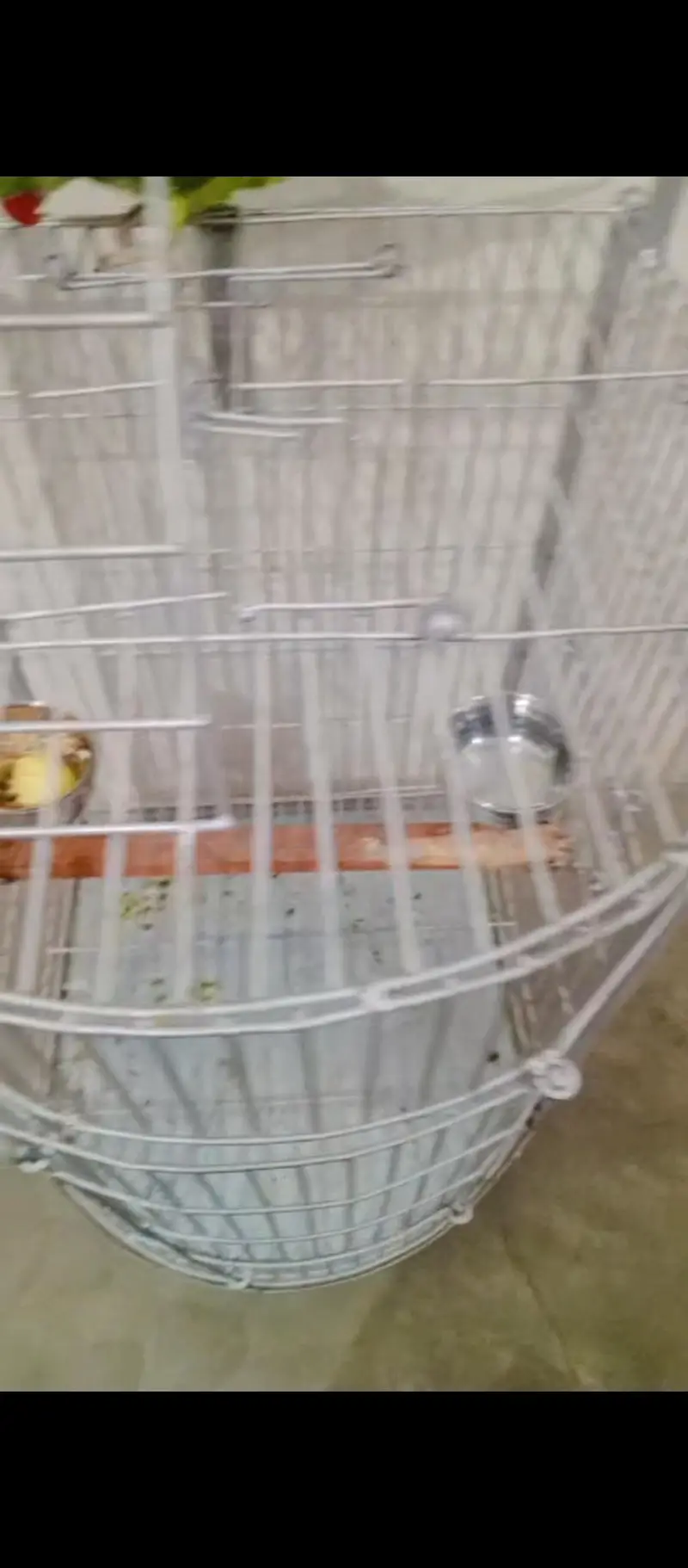 new cage han 13 days used only — photo 3