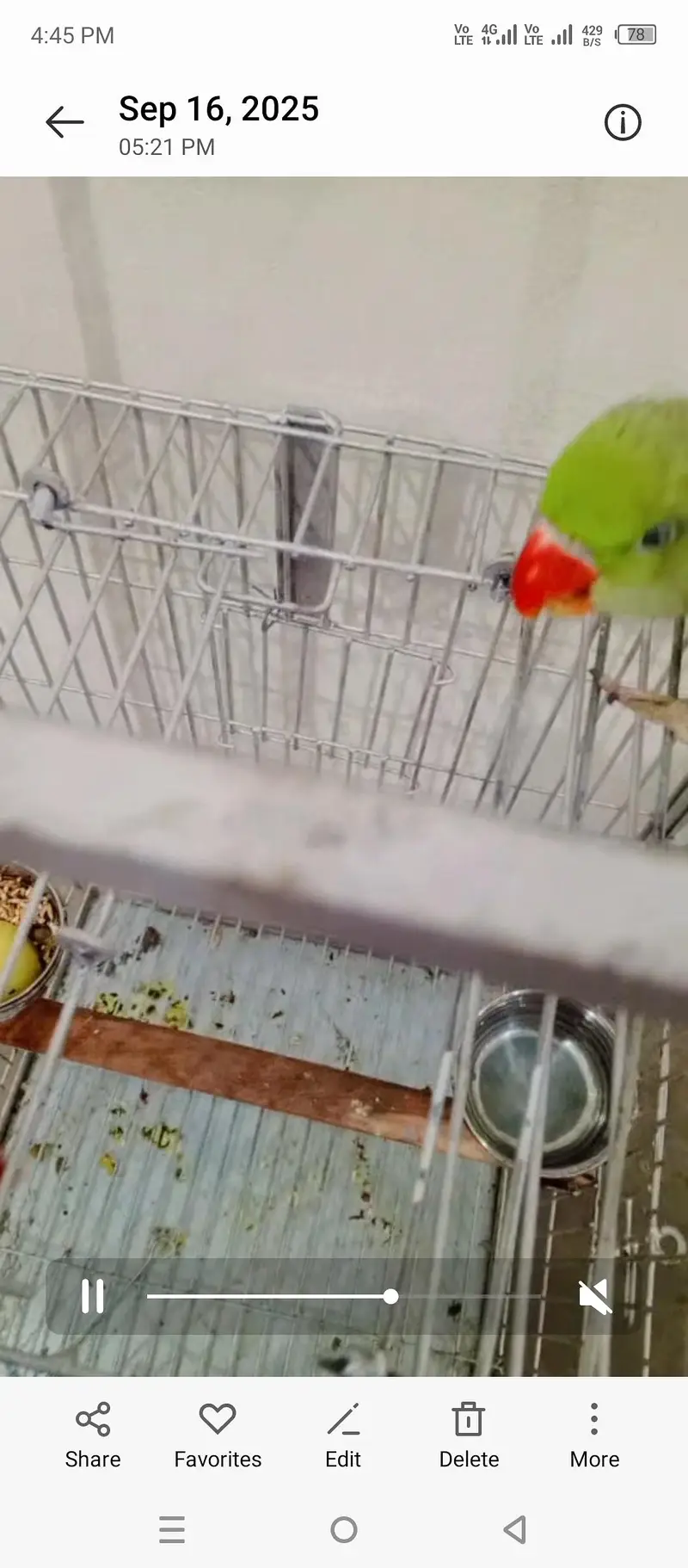 new cage han 13 days used only — photo 4