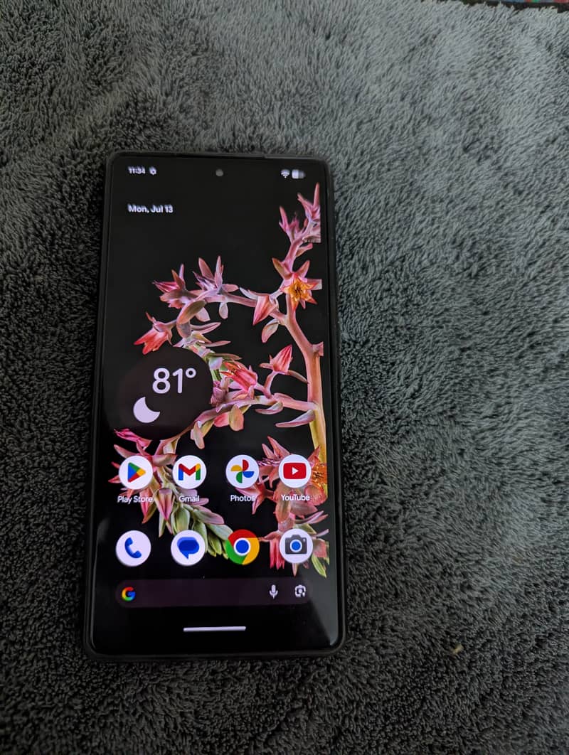 Pixel 6 Approved 0
