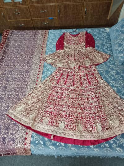 bridle Lehnga
