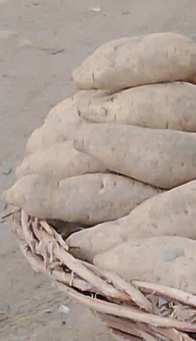 ShaQer Qandi (sweet patato)