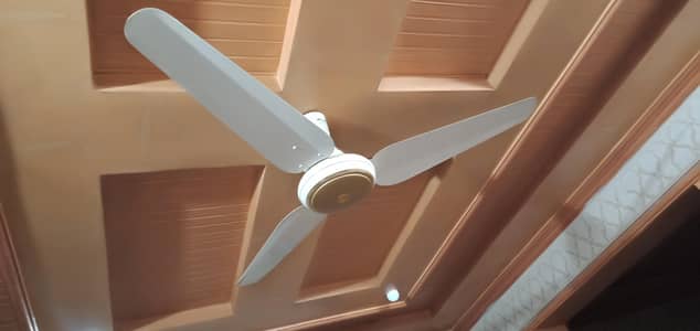 Fan ceiling SK 56"
