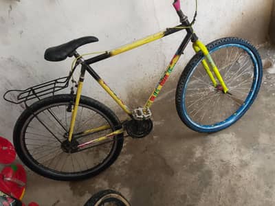 Phoenix cycle