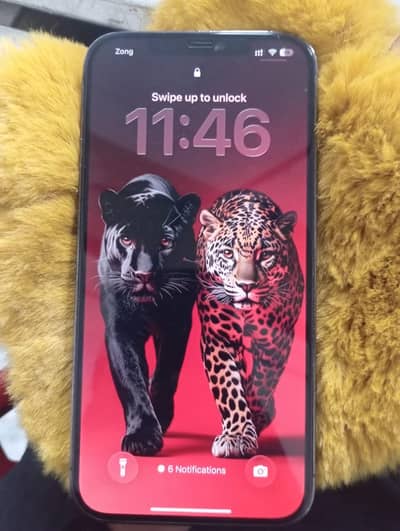 Apple iPhone 12 Pro Max