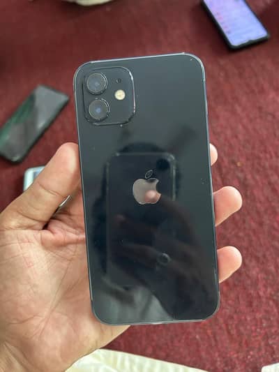 I PHONE 12 non pta