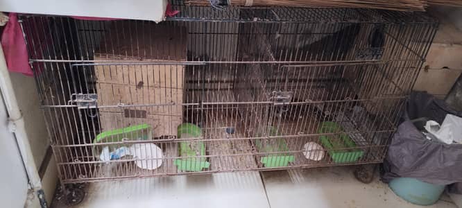 Foldable Master Cage 2 Portion Breeding Option Coctail, Lovrbird