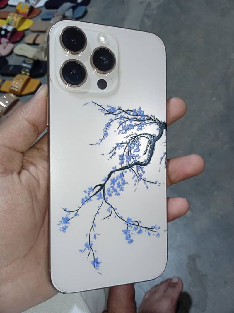 iPhone 16 Pro Max 0